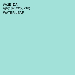 #A2E1DA - Water Leaf Color Image
